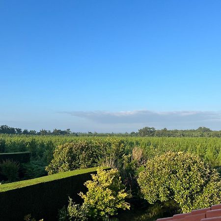 Jolie Maison De Vacances Avec Terrasse Et Jardin Saint-Julien-en-Born Exterior foto