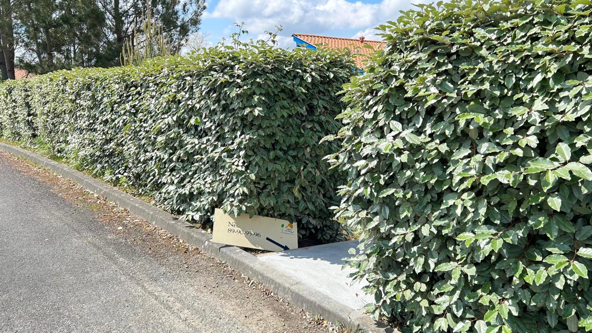 Jolie Maison De Vacances Avec Terrasse Et Jardin Saint-Julien-en-Born Exterior foto